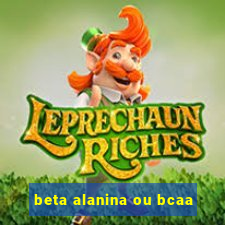 beta alanina ou bcaa